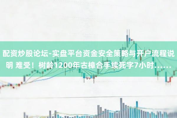 配资炒股论坛-实盘平台资金安全策略与开户流程说明 难受！树龄1200年古樟合手续死字7小时……